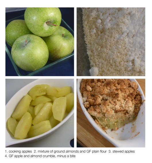 Gluten Free Apple and Almond Crumble